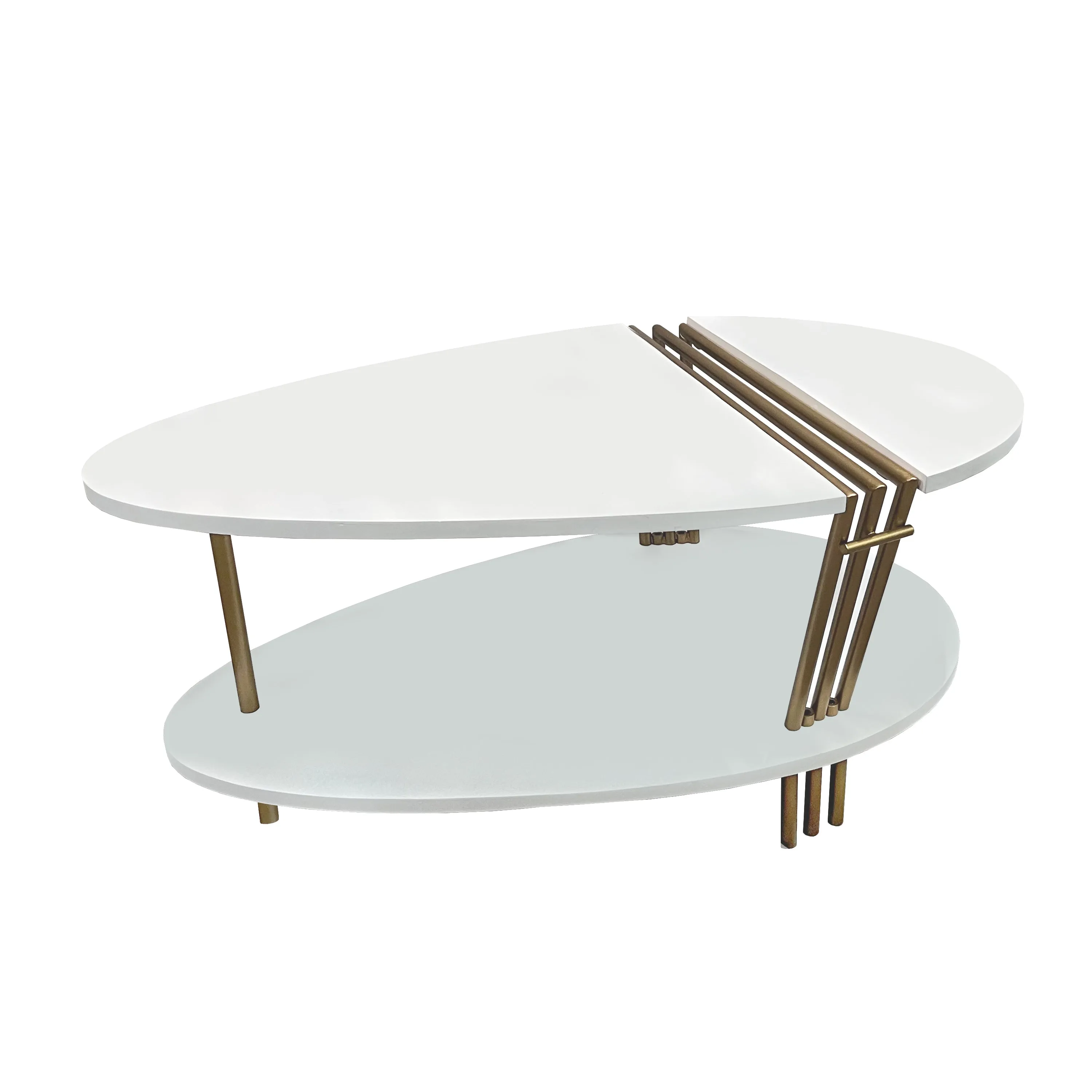 36 Inch Modern Coffee Table, Oval Elliptical Shape, White Mango Wood With Antique Brass The Urban Port