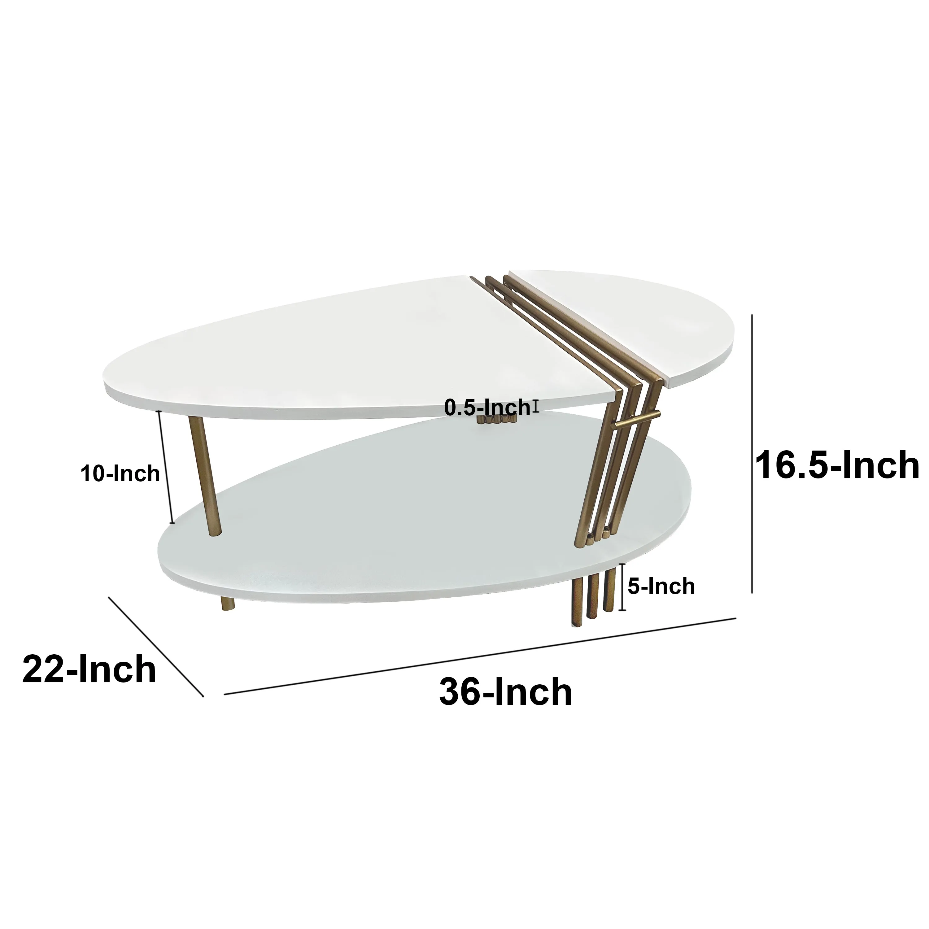 36 Inch Modern Coffee Table, Oval Elliptical Shape, White Mango Wood With Antique Brass The Urban Port