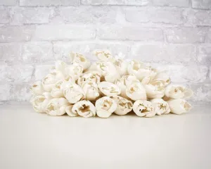 3" Precious Tulip - 50 Pack