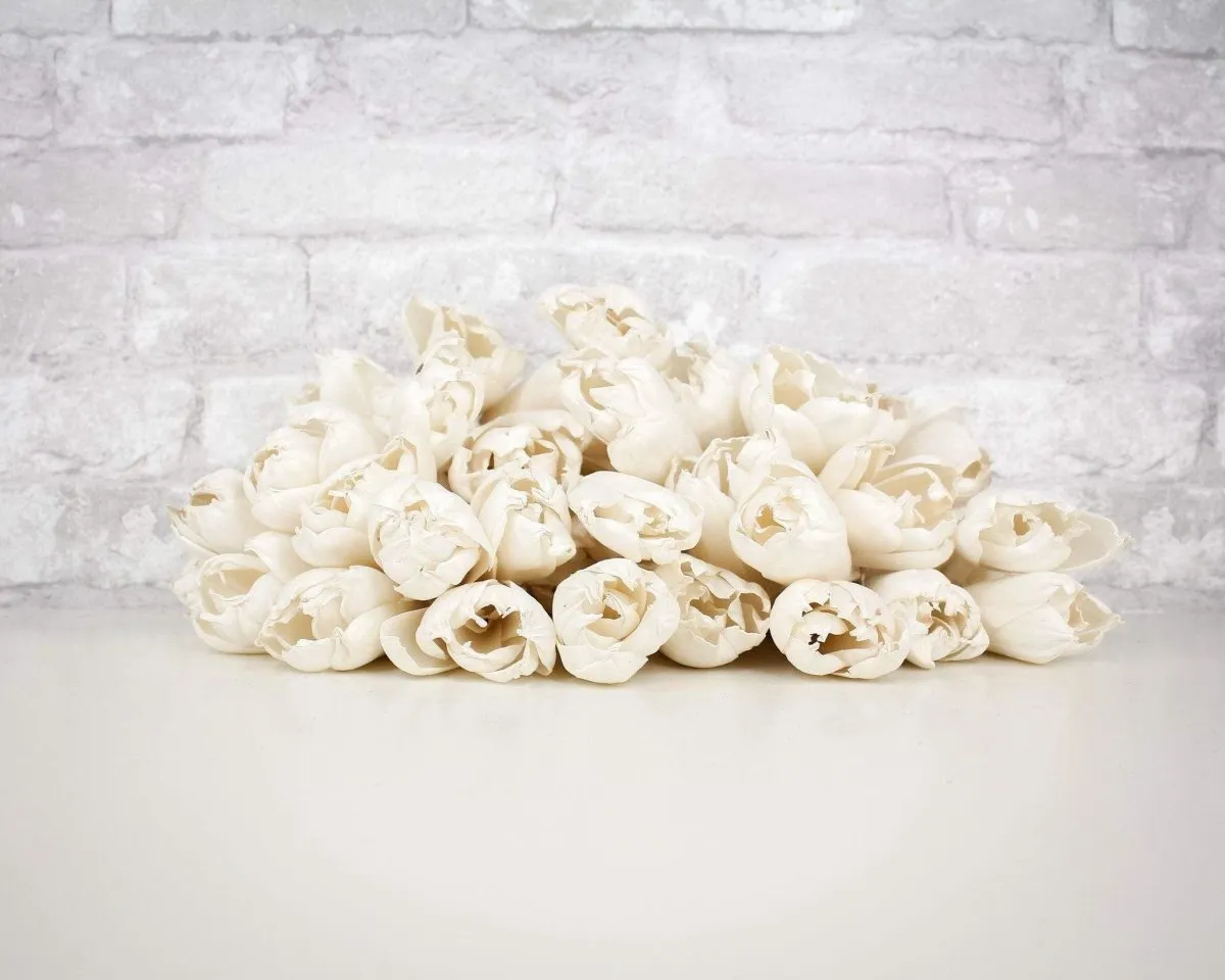 3" Precious Tulip - 50 Pack