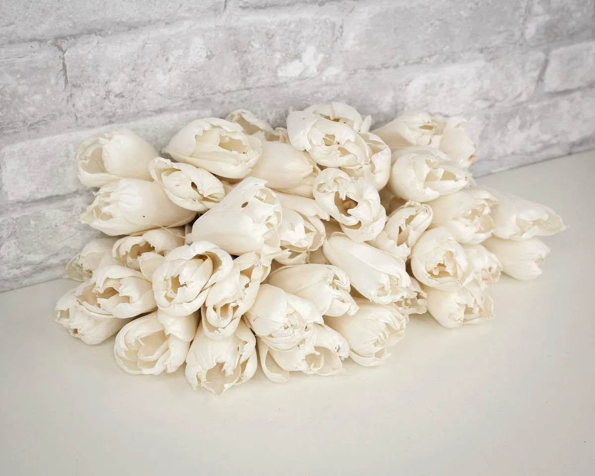 3" Precious Tulip - 50 Pack