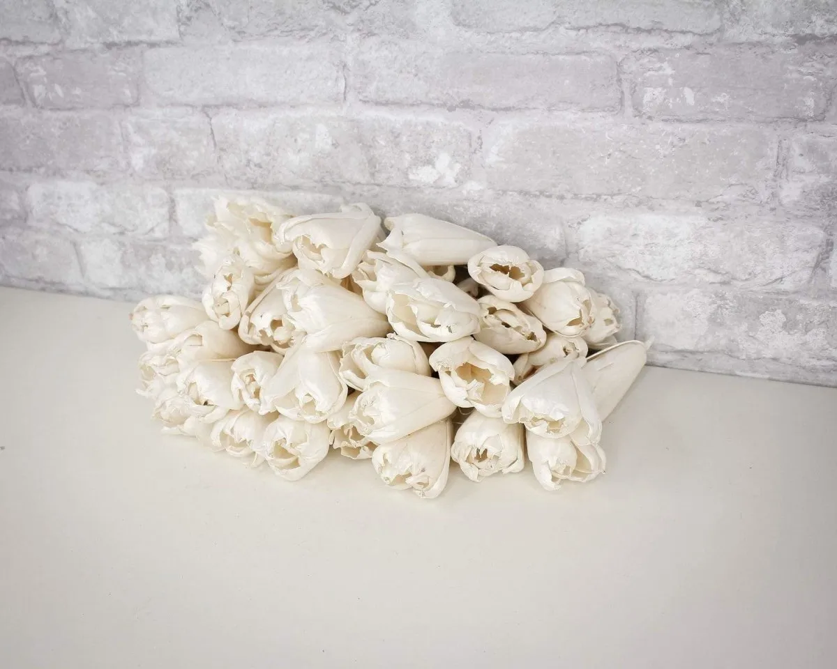 3" Precious Tulip - 50 Pack