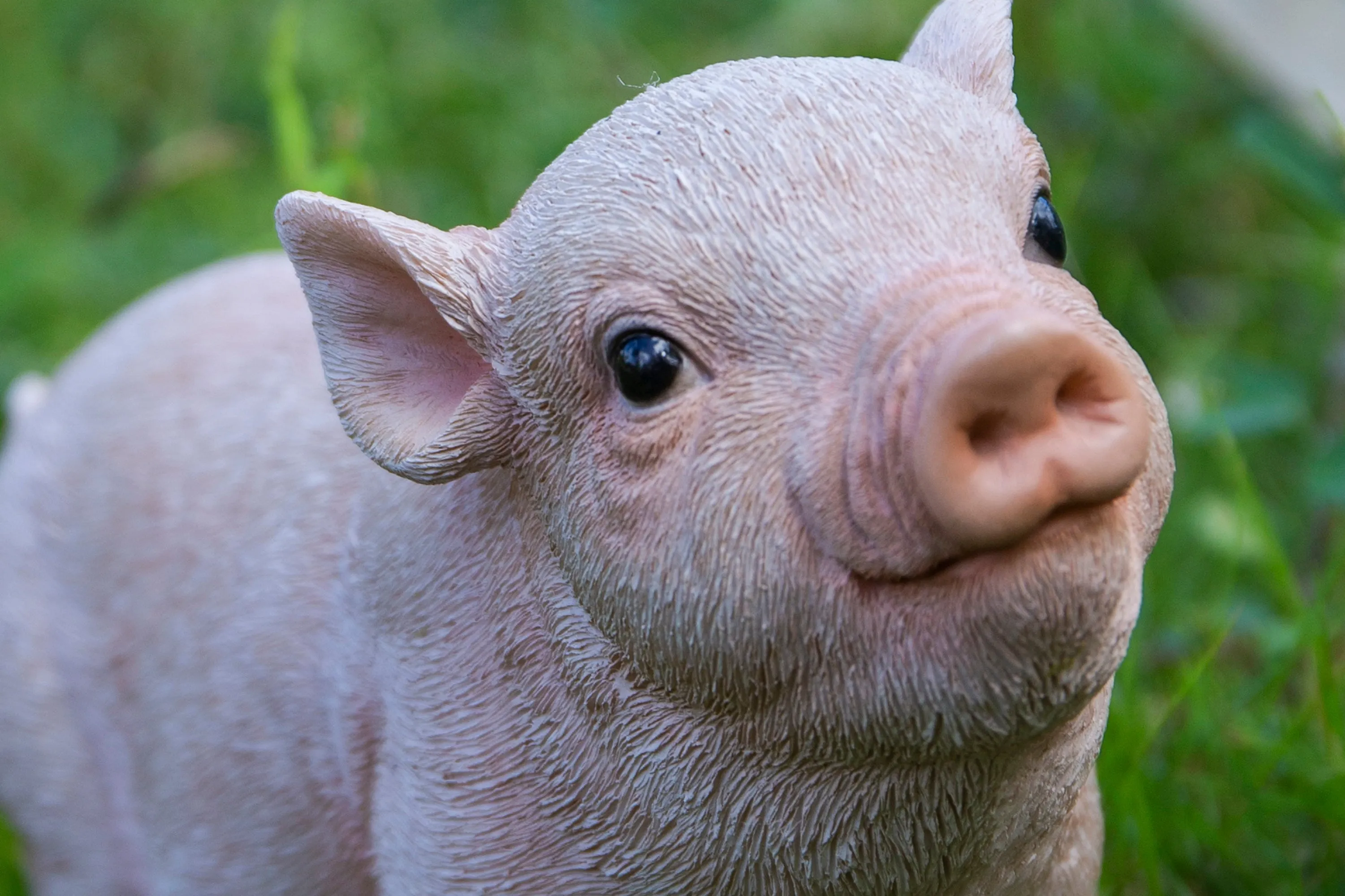 Baby Pig Standing - Pink
