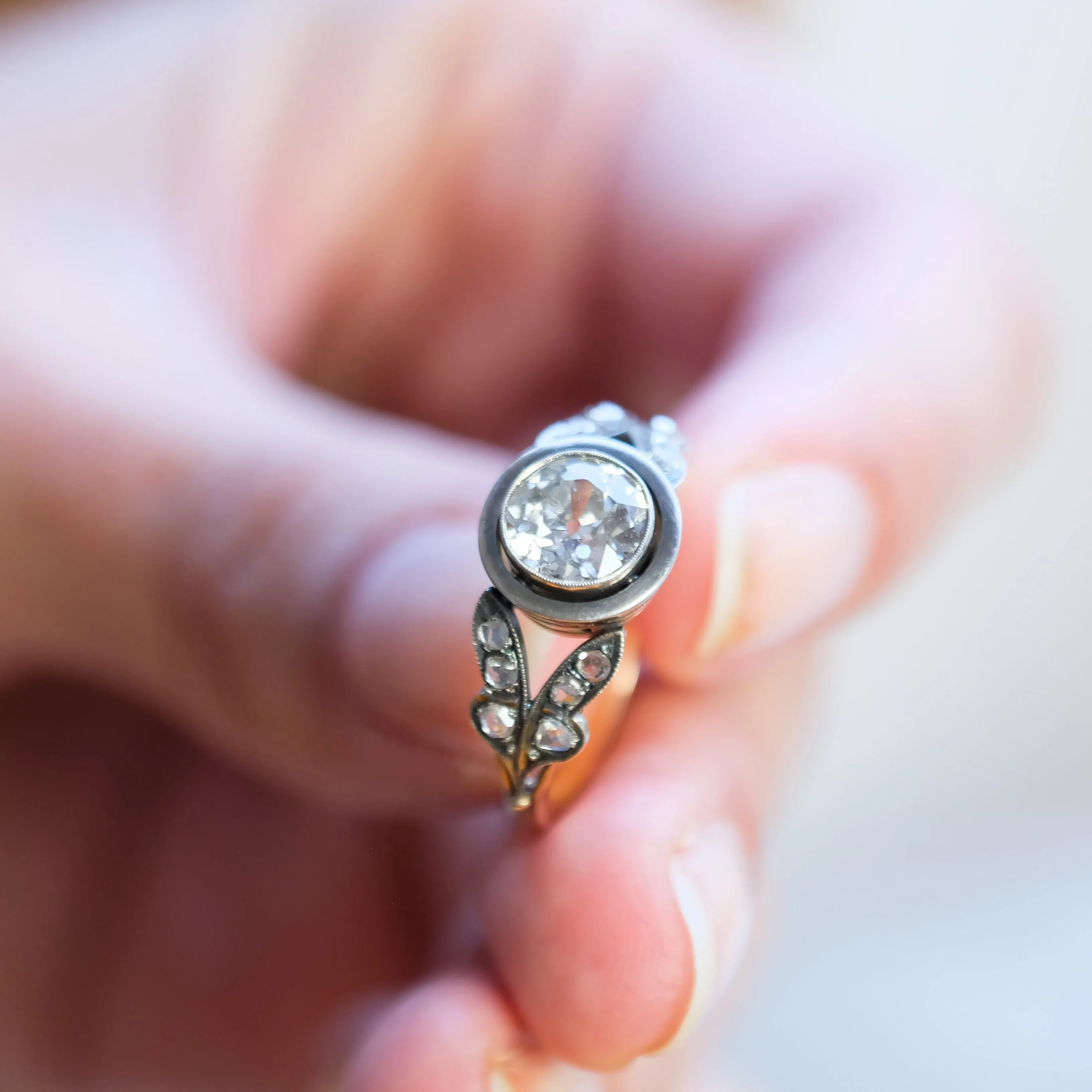 Bloom ring