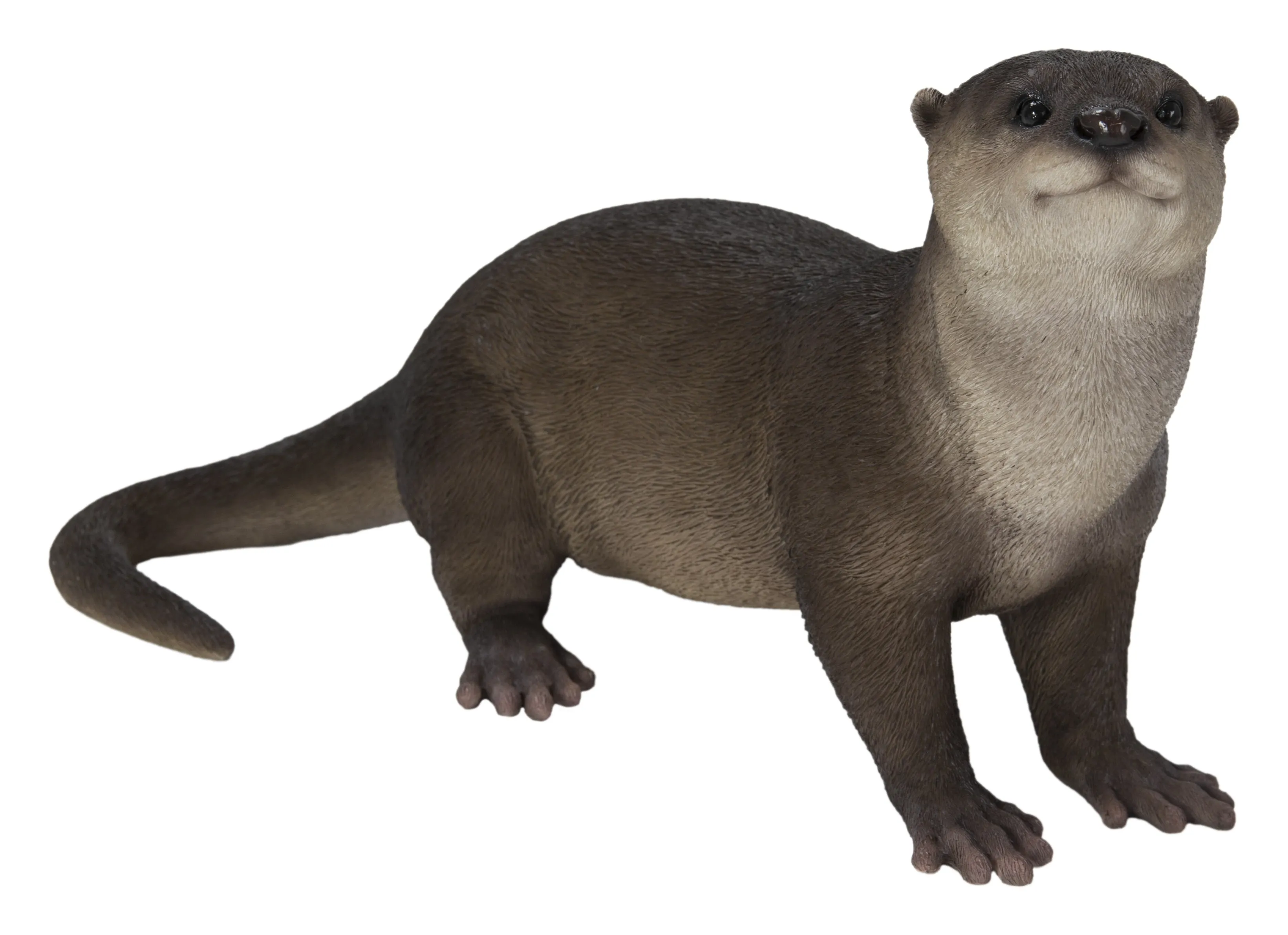 Brown Standing Otter