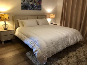 Double Bed Channel Quilt 95% White Polish Mother Goose Down 6 Blanket Warmth 900 Fill Power German Batiste TE270