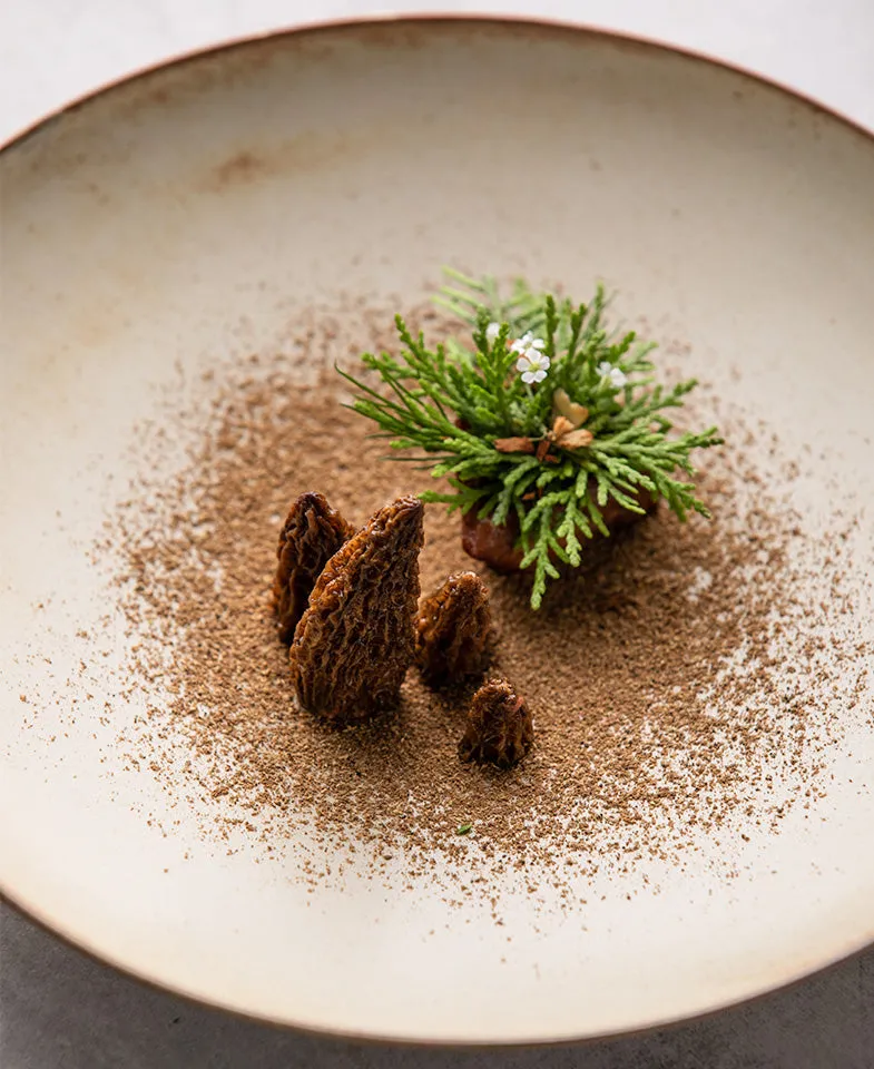 Elegant Ceramic Plates