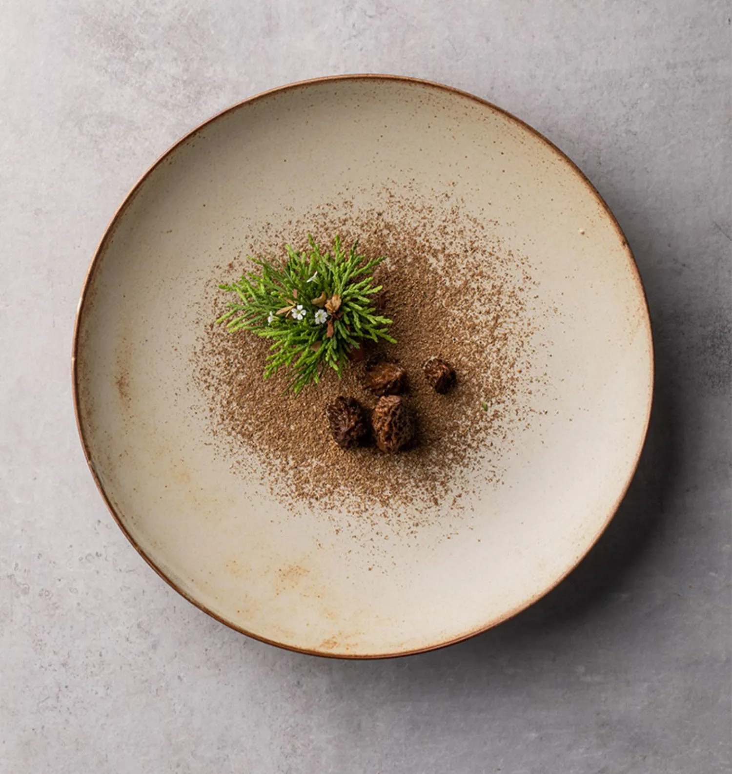 Elegant Ceramic Plates
