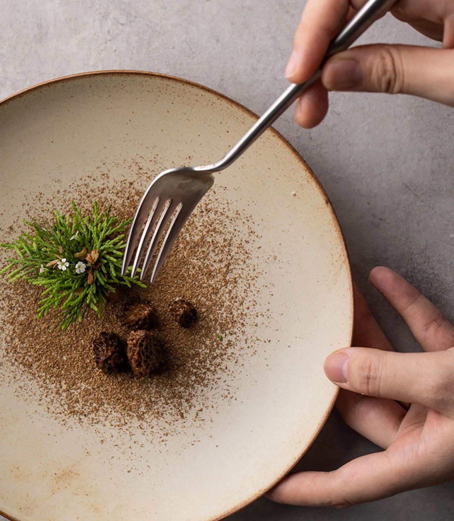 Elegant Ceramic Plates