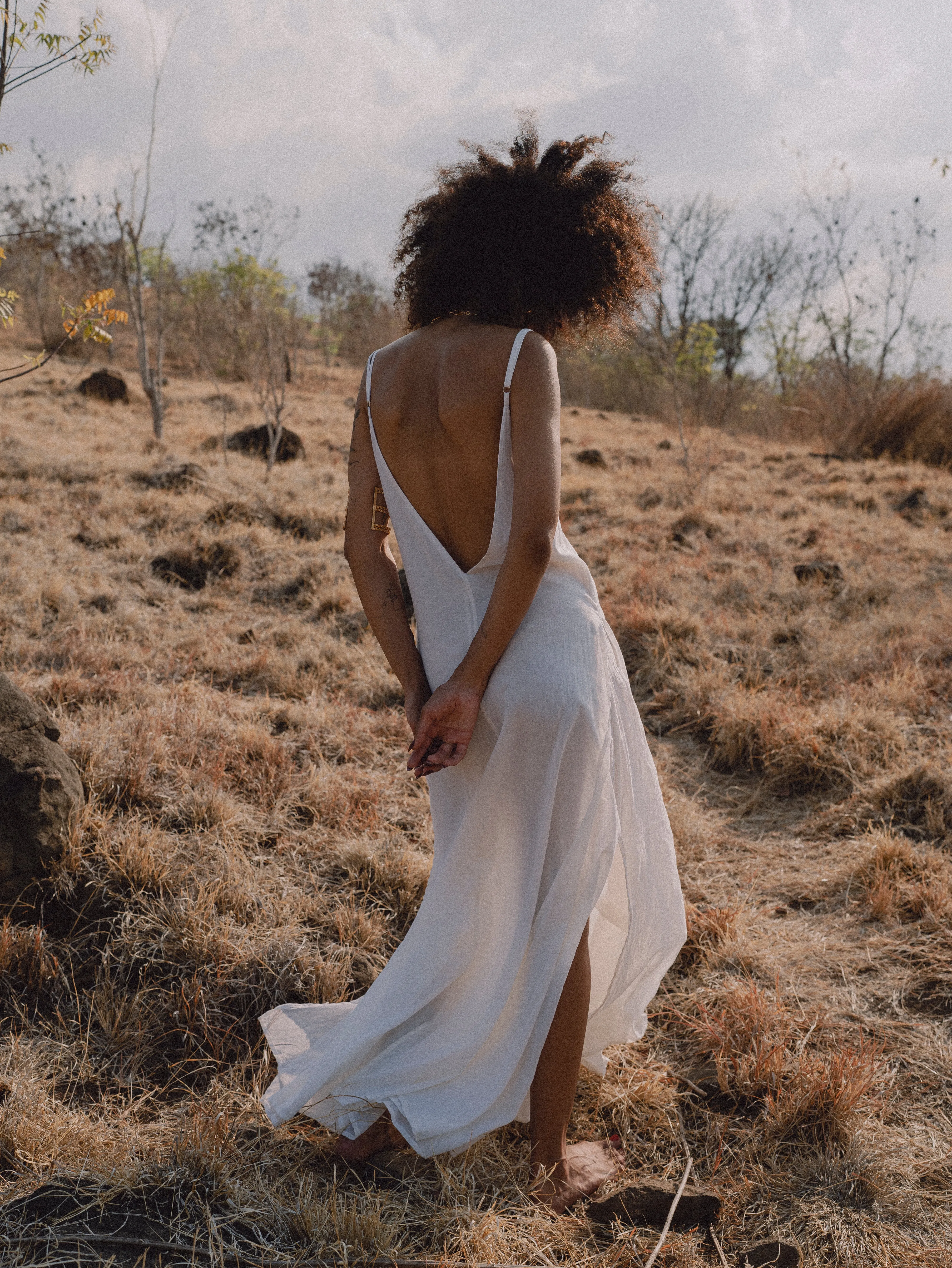 Elegant Day Dress