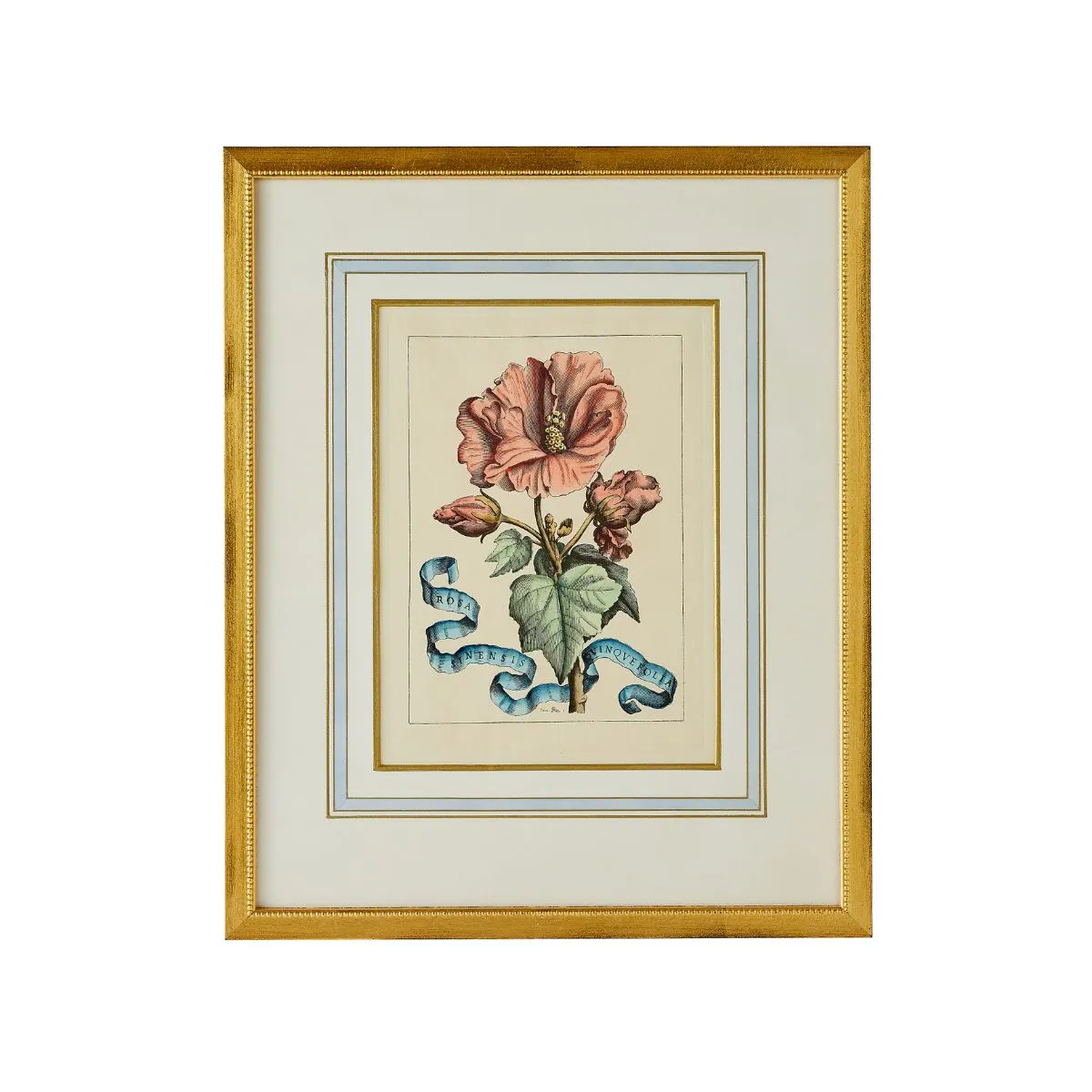 Floral Ribbon 3