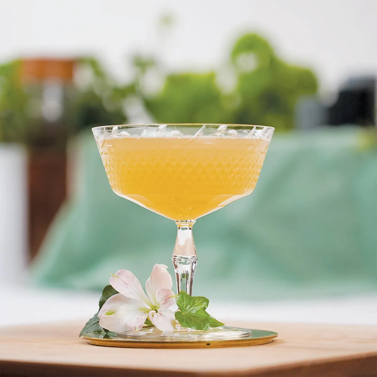 Garden Gimlet Cocktail Pack
