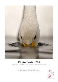 Hahnemuhle - Photo Luster 13"x19", 25 sheets