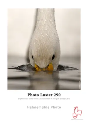 Hahnemuhle - Photo Luster 13"x19", 25 sheets