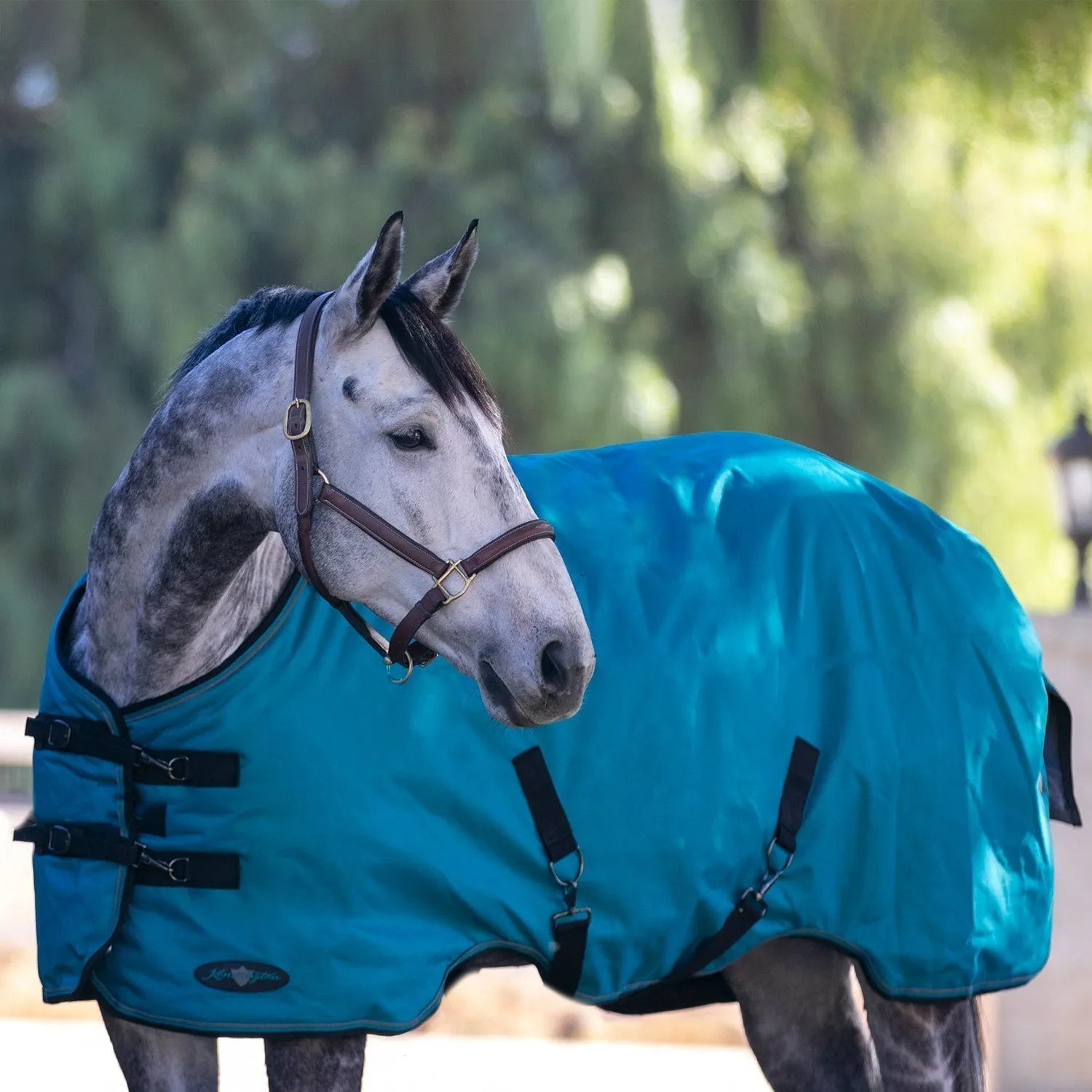 Kensington Bundle - 1200D Horse Light Weight Turnout & Blanket Bag