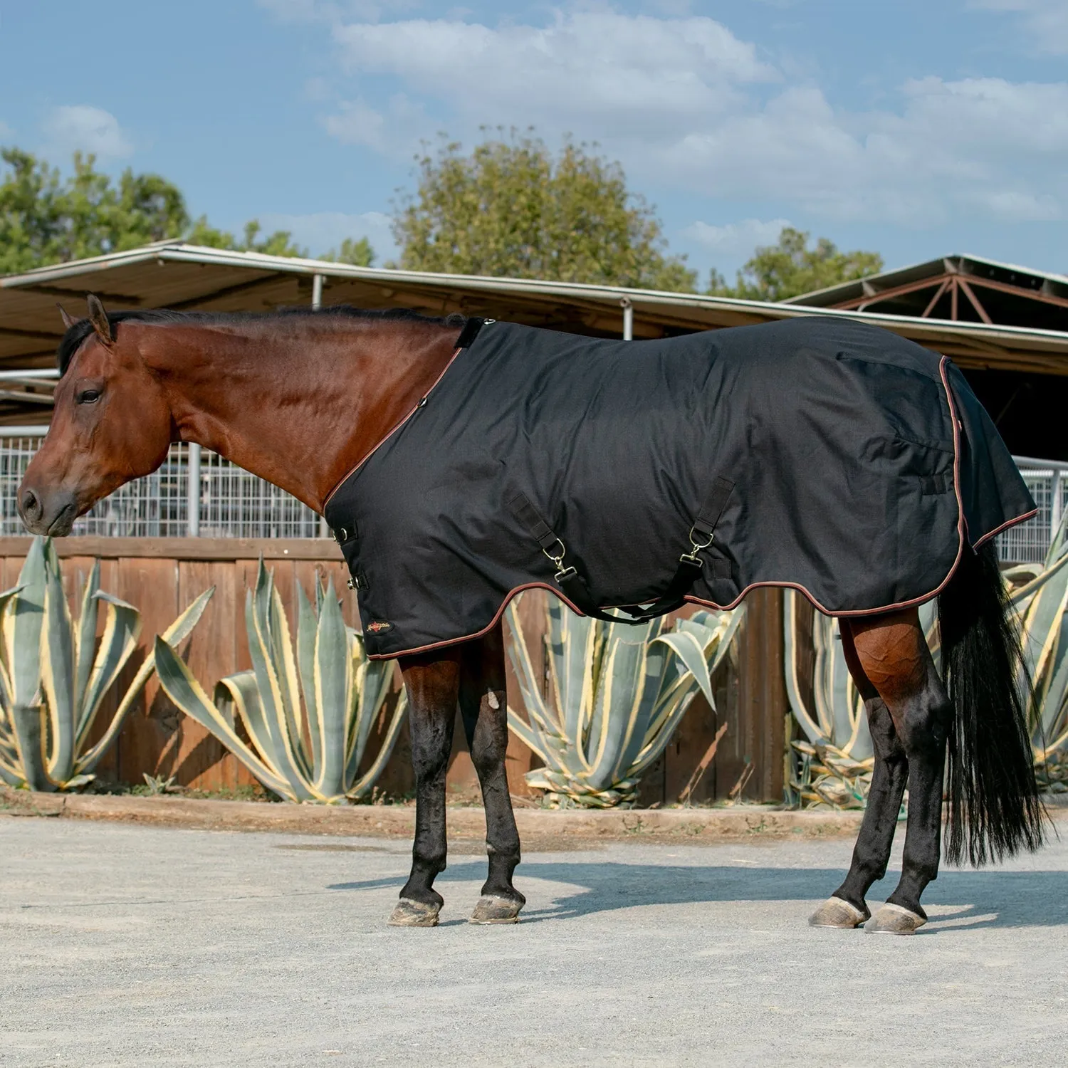 Kensington Bundle - 1200D Horse Light Weight Turnout & Blanket Bag