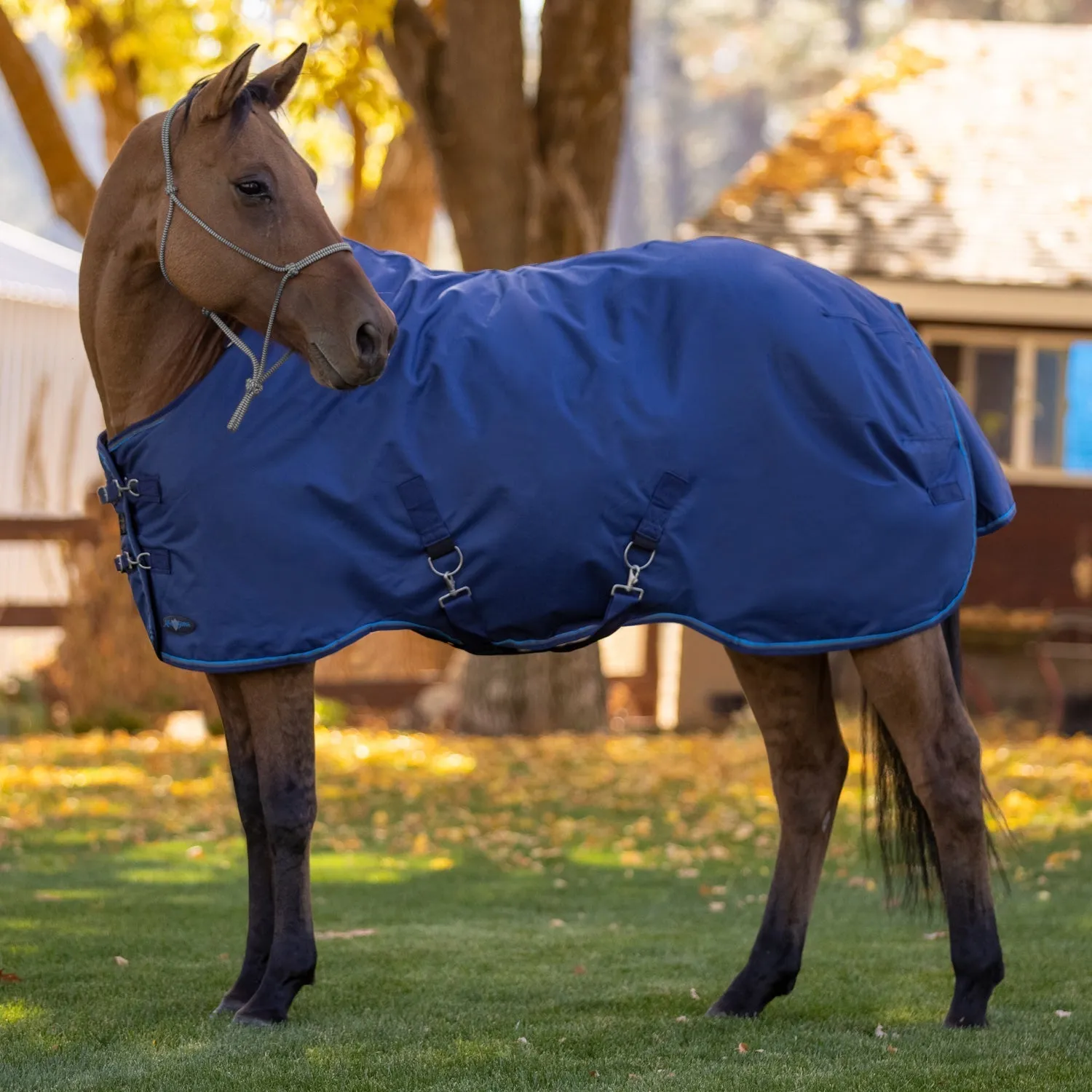 Kensington Bundle - 1200D Horse Light Weight Turnout & Blanket Bag