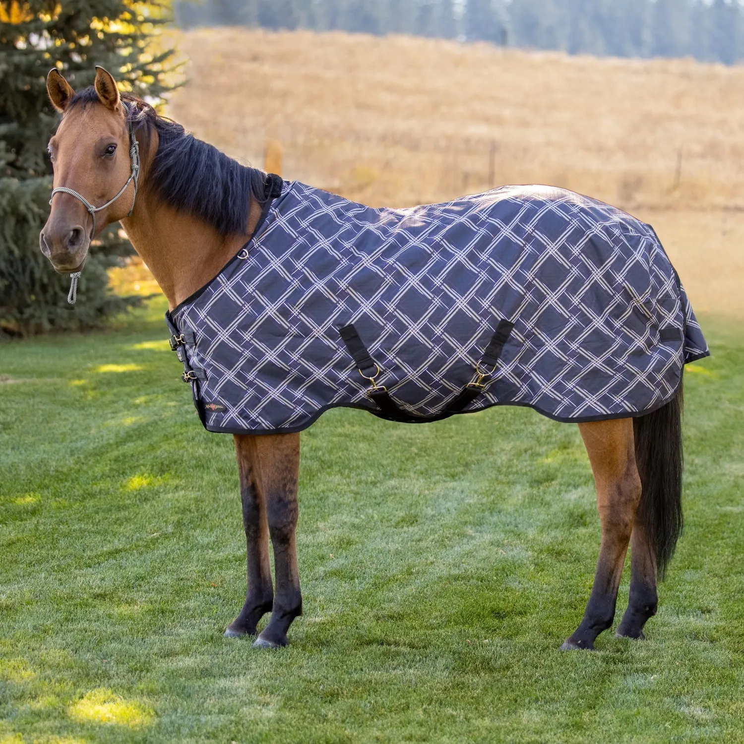 Kensington Bundle - 1200D Horse Light Weight Turnout & Blanket Bag