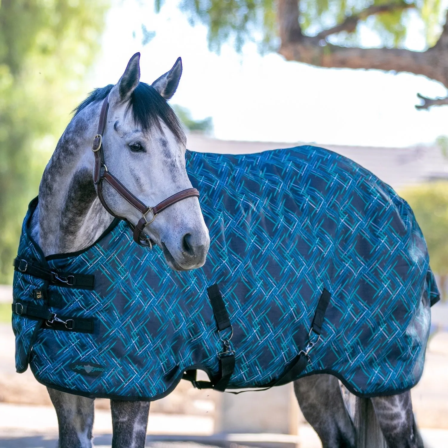 Kensington Bundle - 1200D Horse Light Weight Turnout & Blanket Bag