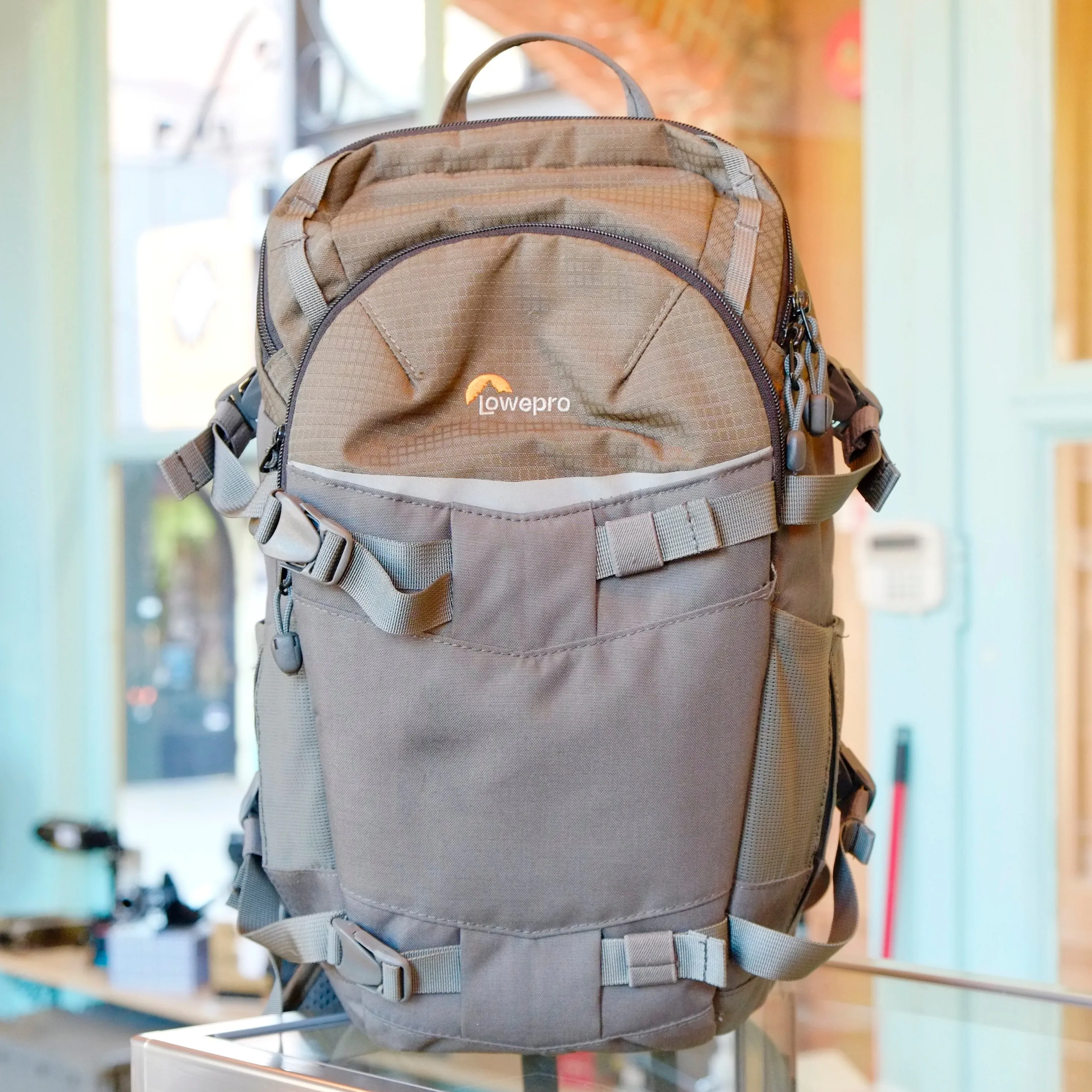 Lowepro Flipside Trek BP250AW