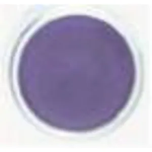 Luster Creme Mini Pulsar Purple