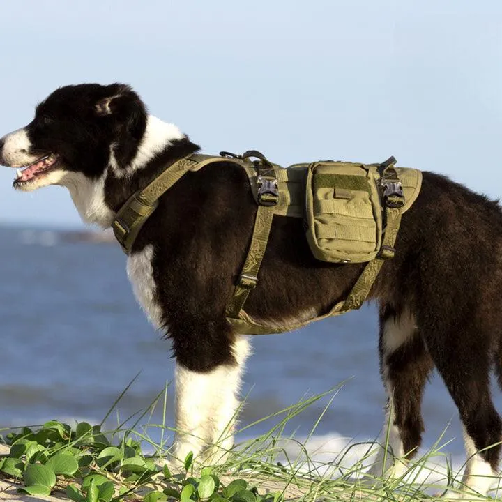 Military Harness Army Green XL