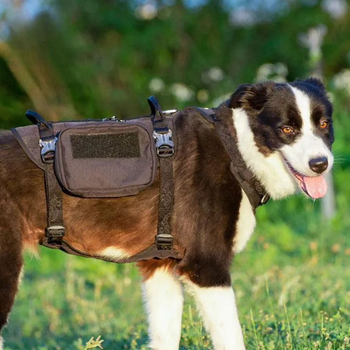 Military Harness Army Green XL