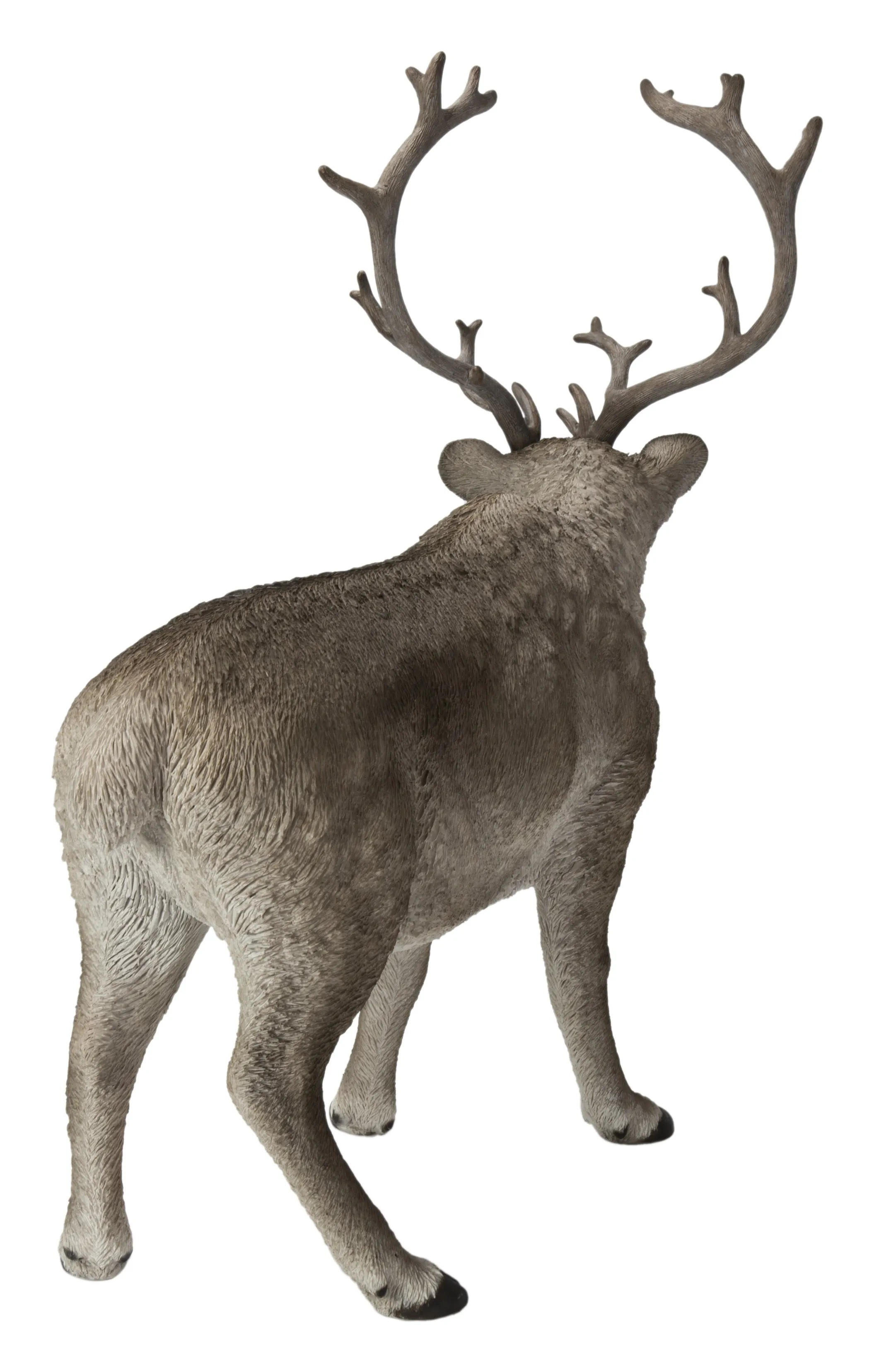 Reindeer Standing