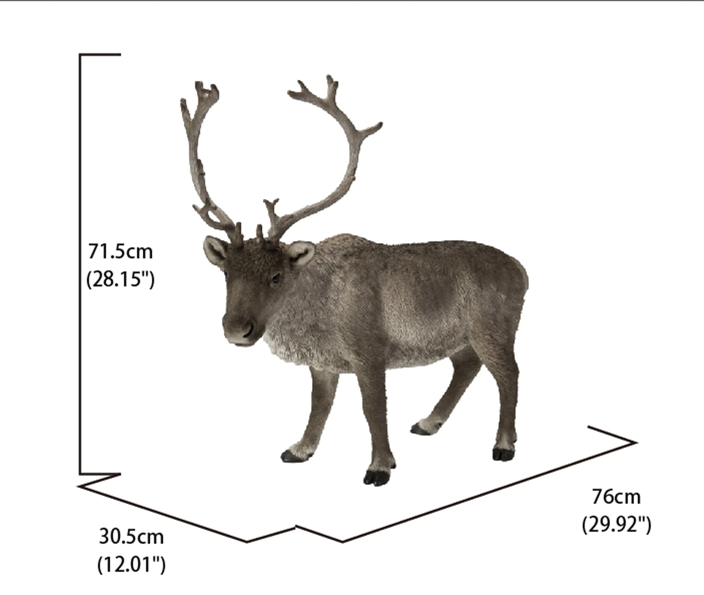 Reindeer Standing