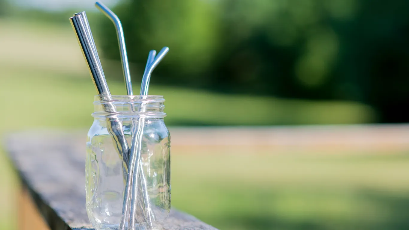 Stainless Steel Straws Bag Set