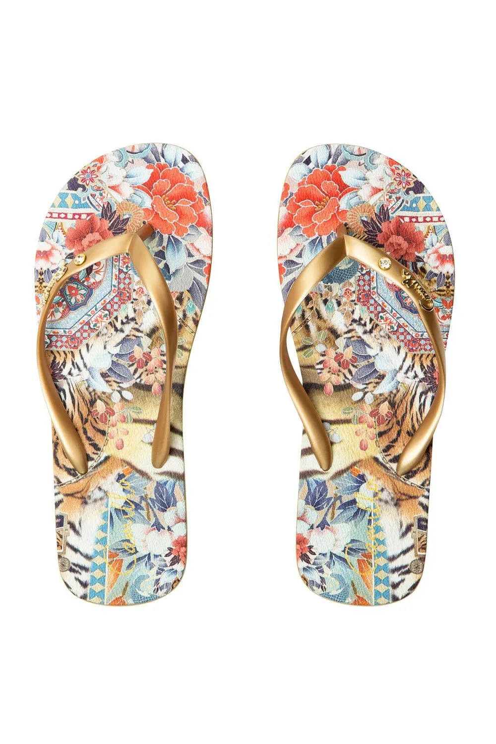 THONGS THE LONELY WILD