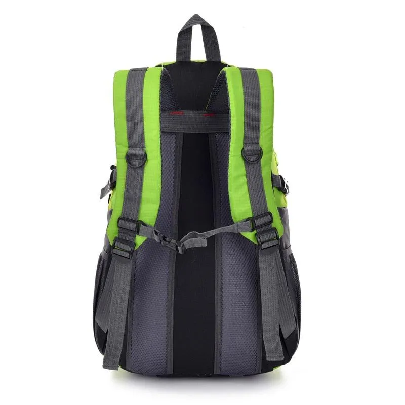 Waterproof Designer Backpack